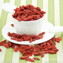 Ervas chinesas Goji Berry